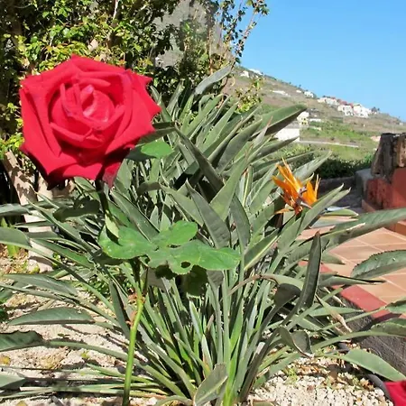 Vakantiehuis La Pitanga Hermigua